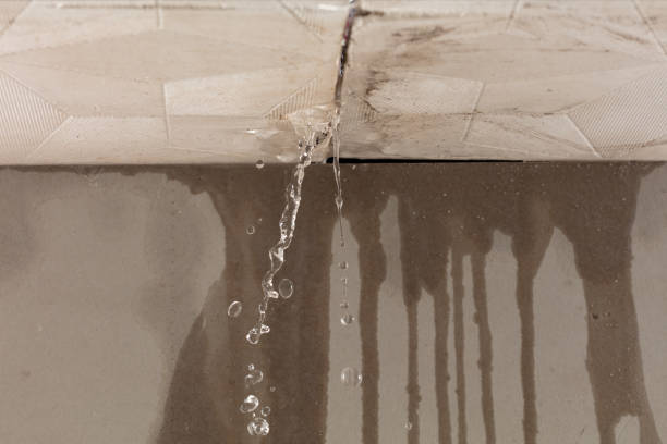 Professional Flood Damage Cleanup technician working in Harris, MN